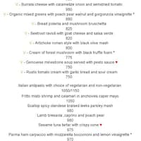 celini hyatt santacruz